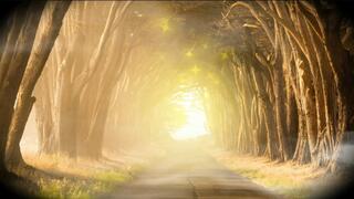 Let's destroy your male ego - ASMR, Meditation, reprogramming