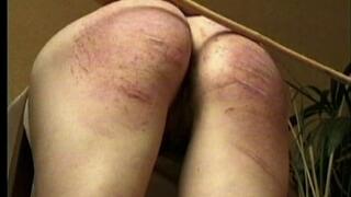 Canus On My Anus Clip One 640x480 wmv