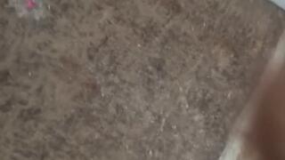 CARROT PATCH PETE MEETS STACY