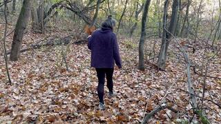 stuck in the woods m0