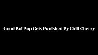 GoodBoiPup Gets Punished