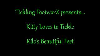 Kitty Loves to Tickle Kilos Beautiful Feet
