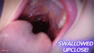 Swallowed Upclose! Ft Terra Mizu - HD MP4 1080p Format