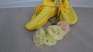 Crushed eustoma with yellow sneakers aa
