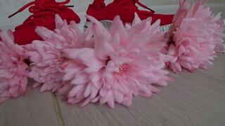 Crushed chrysanthemums with red sneakers b