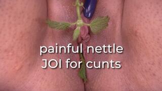 painful nettle JOI for cunts - uncaptioned