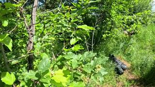 Hot outdoor blowjob and cum play with a down-jacket 269