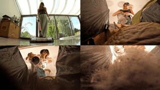 Vacuumed up, dumped in the trash and no possible escape!