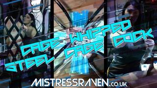 [1006] Cage Whipped Steel Cage Cock