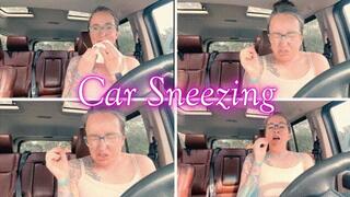 Car Sneezing *wmv*