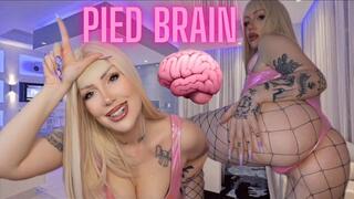 PIED Brain – Only Porn Turns You On