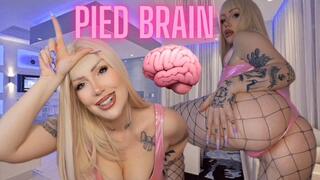 PIED Brain - Only Porn Turns You On 720p