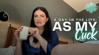 A Day In The Life As Adreena Winters Cuck!