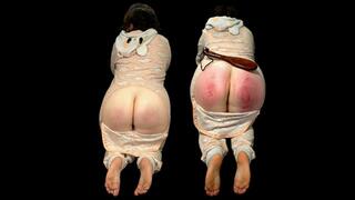 Color my paddles I color your ASS