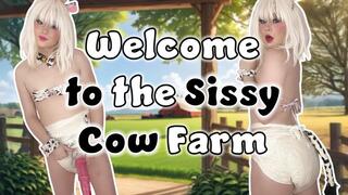 Welcome to the Sissy Cow Farm