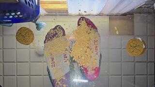 Underglass old navy sock food crush