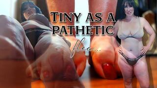 Tiny as a pathetic Flea wmv