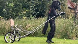 Ponyplay Cart Pulling 1 (4K)