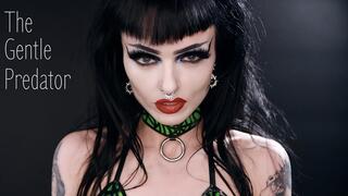 The Gentle Predator