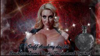 Sniff Academy day 68: Brainless Aroma Drone Trained and Drained