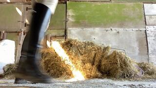 Get Cleaning My Dirty Riding Boots