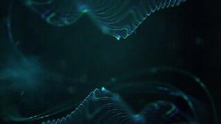 Big Tits and Big Sneezes *wmv*