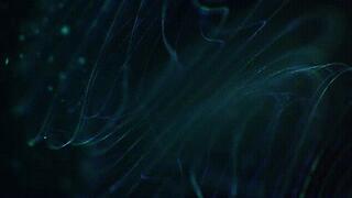 Our Eager Wanker *mp4*