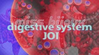 DIGESTIVE System JOI (HD Visualizer)