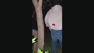 Testing Electric Hoist Hanging Wedgie