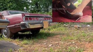 Listen to my t-bird pop when I stomp!