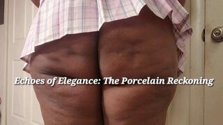 ECHOES OF ELEGANCE THE PORCELAIN RECKONING