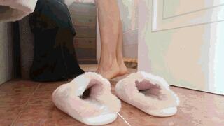 Who did this to my slippers? WMV (1920x1080) FHD