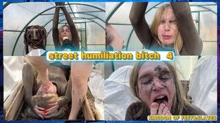 street humiliation bitch prt 4 (4K)