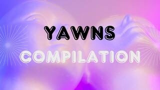 Yawns Compilation