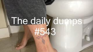 The daily dumps #543 mp4