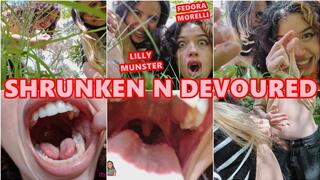 GG SHRUNKEN N DEVOURED POV GIANTESS