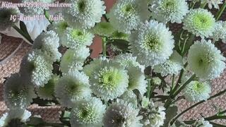 Flower Nail with my Newly Manicured Sharp Long Natural Nails