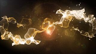 Musa & Lilli mixed fight against Enea!