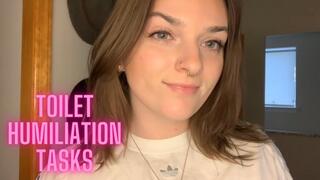 Toilet Humiliation Tasks