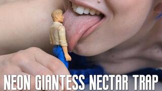 Neon giantess' nectar trap