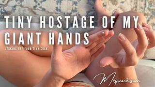 Tiny Hostage of my Giant Hands