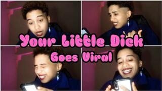 Roleplay, SPH | Your Little Dick Goes Viral