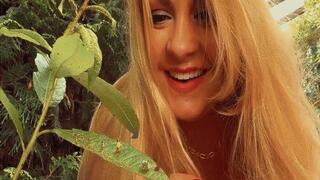 New home for the Lilliputians MOV