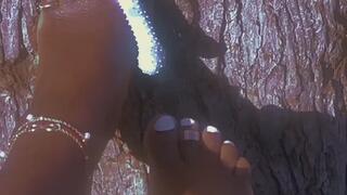 Oiled Toes & Chew Toys: Pet Play in the Sun