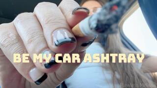 Human Car Ashtray
