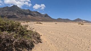Wet Jeans at the Ocean - Desperate, Naughty, and Loving It