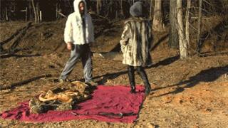 Fur Rendezvous Whipping (MP4 HD)