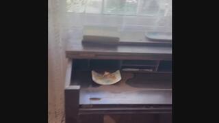 Public SPH: Pantsed At A Haunted House