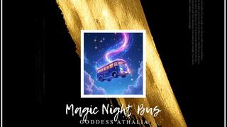 Magic Night Bus