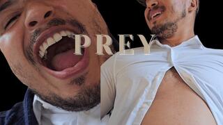 Professors Prey: Permanent Detention